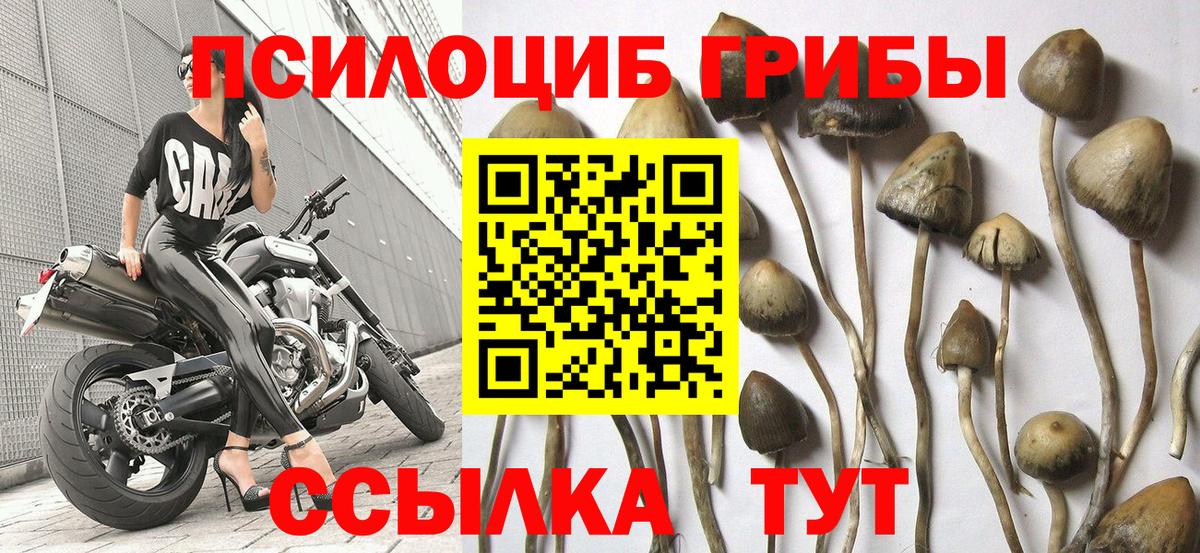 Галлюциногенные грибы ЛСД Дятьково