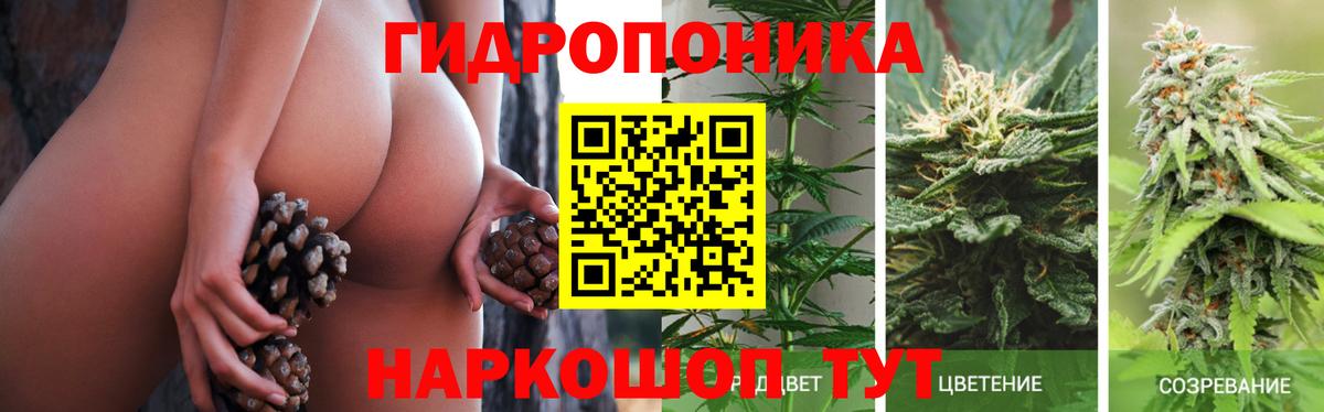 Канабис White Widow Дятьково